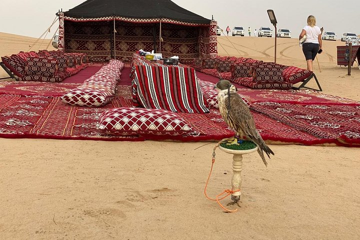 Immerse in the stunning Dubai Desert where luxurious tents invite you to relax enjoy traditional hospitality and connect with nature—an unforgettable journey awaits.